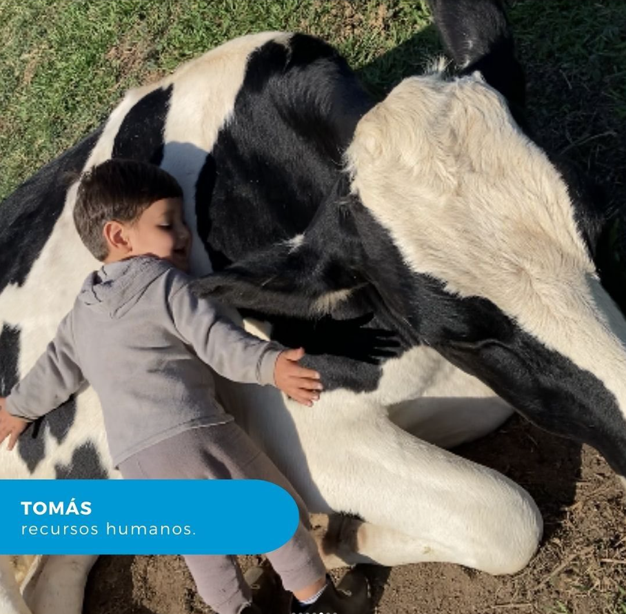 Tomás